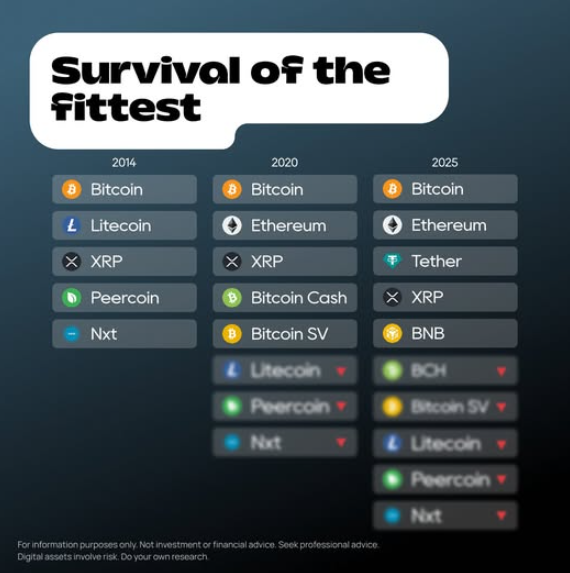 Crypto and Competition: the Best Chain Wins