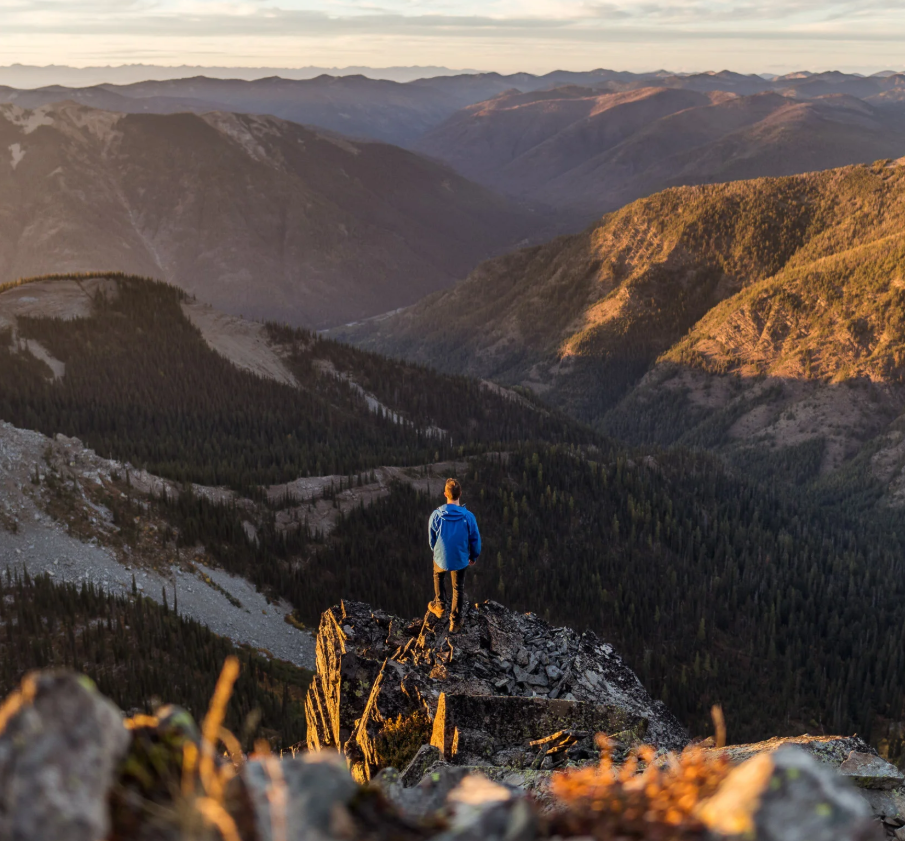 Mentoring in Crypto - Double-Edged Sword